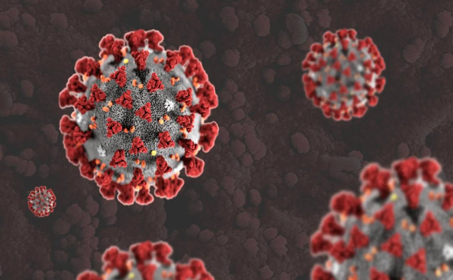 school student coronavirus tested positive school closed